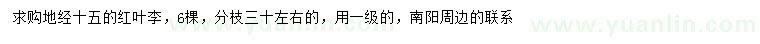 求購地徑15公分紅葉李
