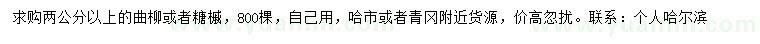 求購(gòu)2公分以上曲柳、糖槭