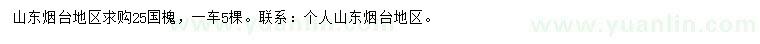 求購25公分國槐