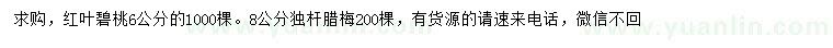 求購6公分紅葉碧桃、8公分臘梅