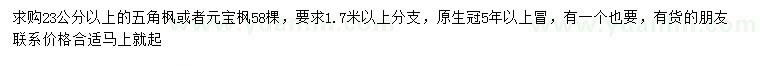求購23公分以上五角楓、元寶楓