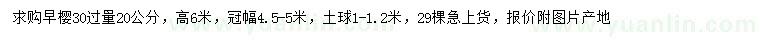 求購30量20公分早櫻