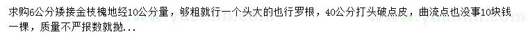 求購6公分金枝槐