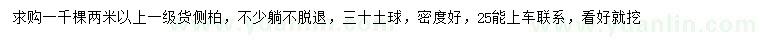 求購(gòu)2米以上側(cè)柏