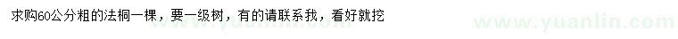 求購60公分法桐