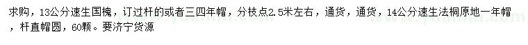 求購13公分速生國槐、14公分速生法桐