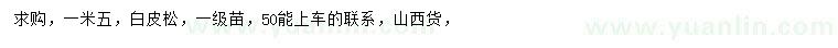 求購1.5米白皮松