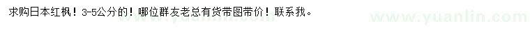 求購3-5公分日本紅楓