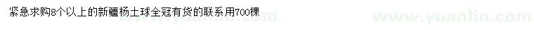 求購新疆楊