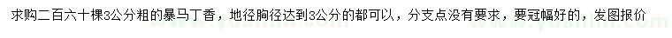 求購3公分暴馬丁香