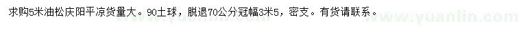 求購5米油松