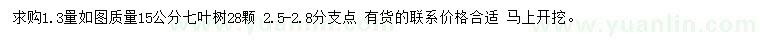 求購15公分七葉樹