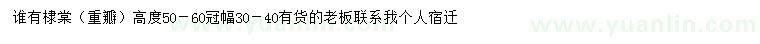 求購高50-60公分棣棠