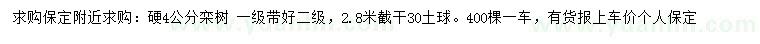求購(gòu)4公分欒樹(shù)