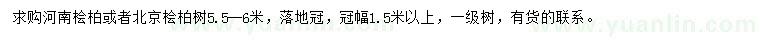 求購5.5-6米河南檜柏、北京檜柏