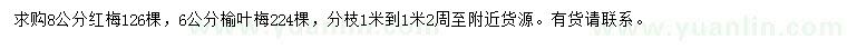 求購(gòu)8公分紅梅、6公分榆葉梅