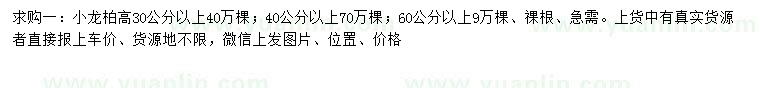 求購高30、40、60公分以上小龍柏