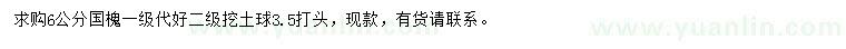 求購6公分國槐