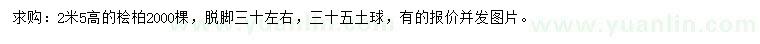 求購(gòu)高2.5米檜柏