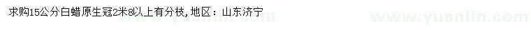 求購15公分白蠟