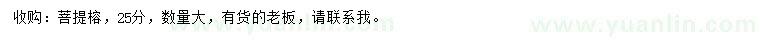 求購(gòu)25公分菩提榕