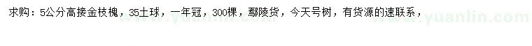 求購(gòu)5公分高接金枝槐