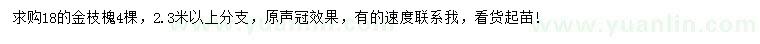 求購18公分金枝槐