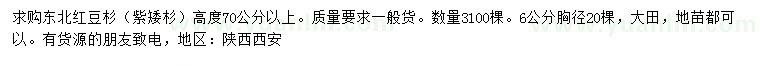 求購(gòu)高70公分以上東北紅豆杉（紫矮杉）