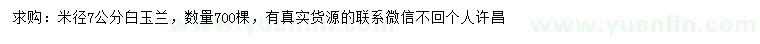 求購米徑7公分白玉蘭