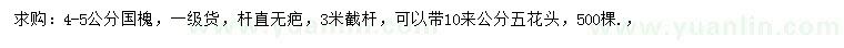 求購4-5公分國槐