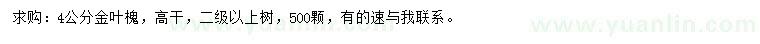 求購4公分高桿金葉槐