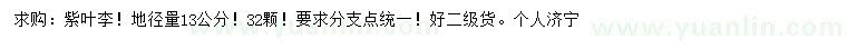 求購(gòu)地徑13公分紫葉李
