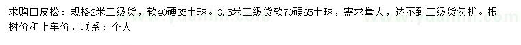 求購(gòu)高2、3.5米白皮松