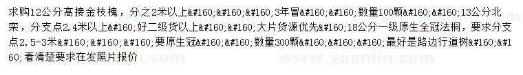 求購高接金枝槐、北欒、法桐