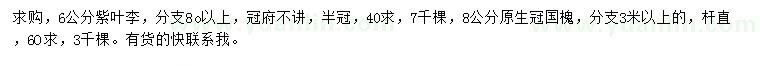 求購6公分紫葉李、8公分國槐