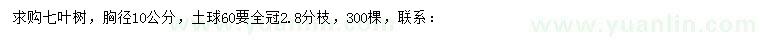 求購胸徑10公分七葉樹