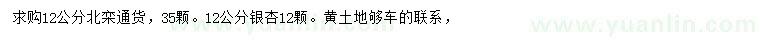 求購12公分北欒、銀杏