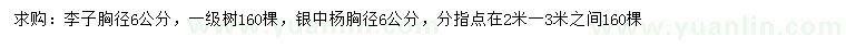 求購胸徑6公分李子、銀中楊