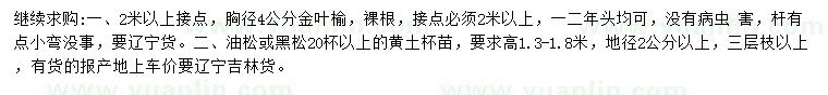 求購金葉榆、油松、黑松