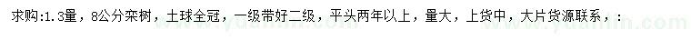 求購(gòu)1.3米量8公分欒樹(shù)