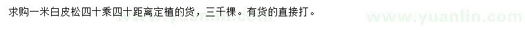 求購1米白皮松