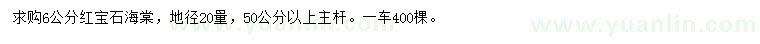 求購地徑20量6公分紅寶石海棠