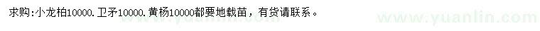 求購小龍柏、衛(wèi)矛、黃楊