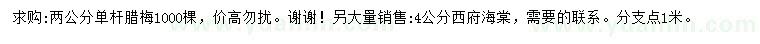 求購2公分單桿臘梅、4公分西府海棠