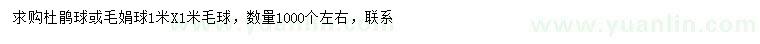 求購1米杜鵑球或毛娟球