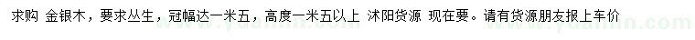 求購高1.5米以上叢生金銀木
