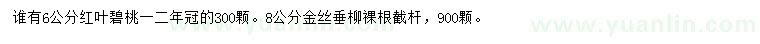 求購(gòu)6公分紅葉碧桃、8公分金絲垂柳