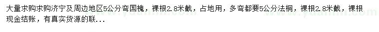 求購(gòu)5公分彎國(guó)槐、法桐