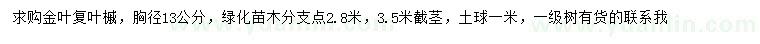 求購胸徑13公分金葉復(fù)葉槭