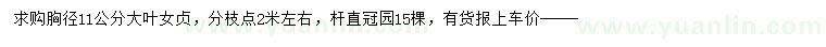 求購胸徑11公分大葉女貞